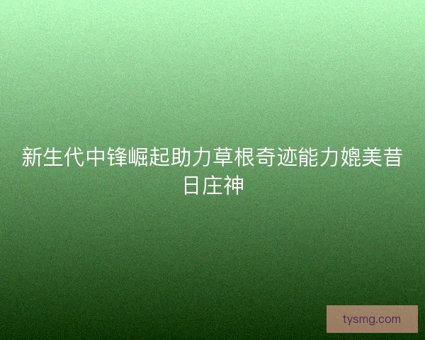 新生代中锋崛起助力草根奇迹能力媲美昔日庄神