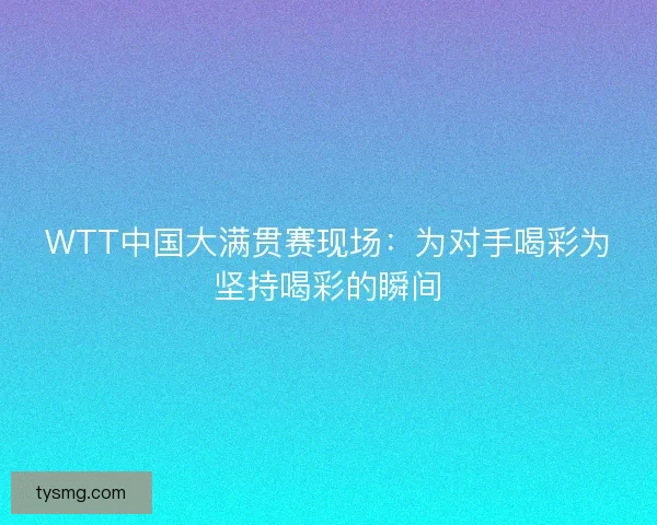 WTT中国大满贯赛现场：为对手喝彩为坚持喝彩的瞬间